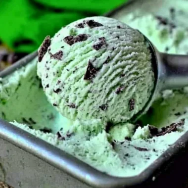 Bowl of homemade Mint Chocolate Chip ice cream made with 7 ingredients.