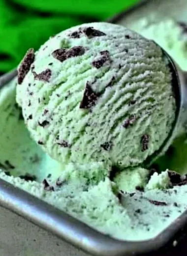 Bowl of homemade Mint Chocolate Chip ice cream made with 7 ingredients.