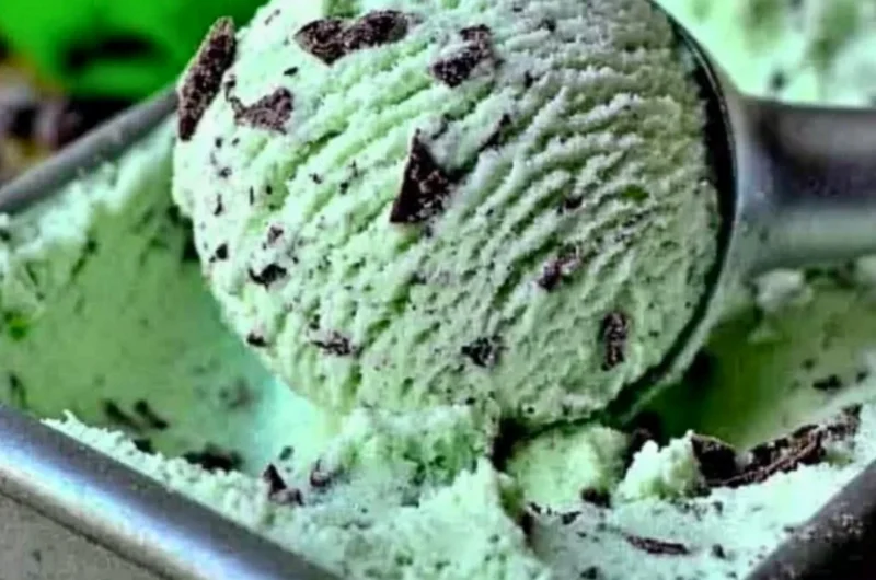 Bowl of homemade Mint Chocolate Chip ice cream made with 7 ingredients.