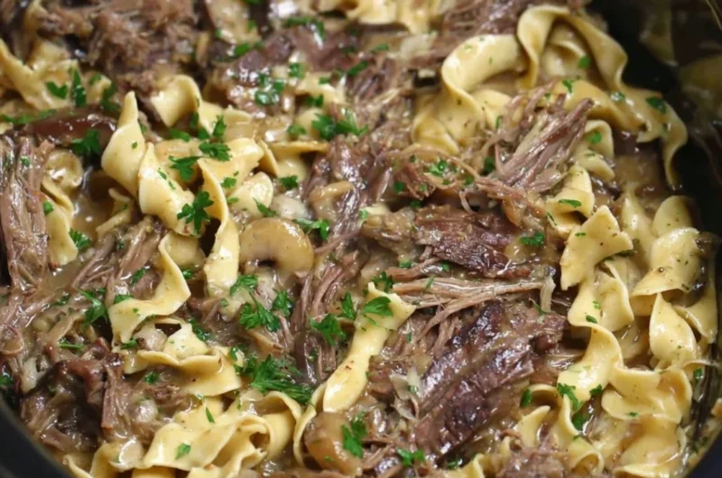 Crock pot beef and noodles dish served in a bowl, perfect for a family meal.