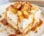 Apple Delight is a decadent dessert with layers of buttery graham cracker crust, rich cream c…