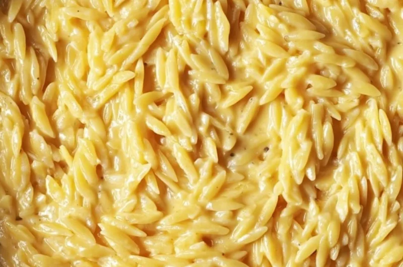 Protein-packed cottage cheese orzo dish served in a bowl